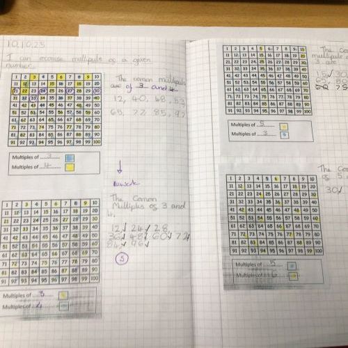Maths Learning Autumn 1