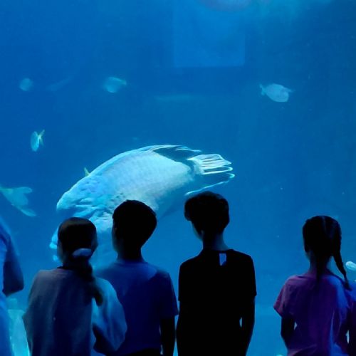 Aquarium